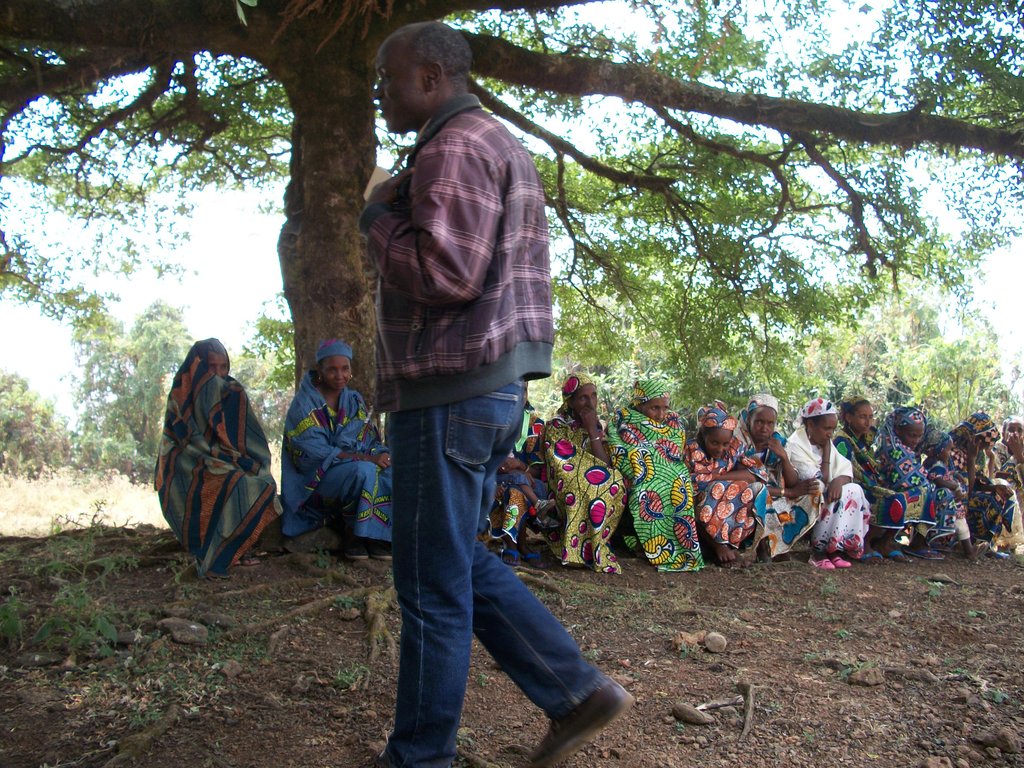 Safe Drinking Water for 5000 Villagers in Cameroon