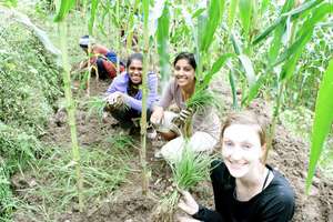 GROW Interns working in the greenhouse