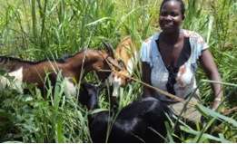 In the photo, Oliver with her 3 goats.