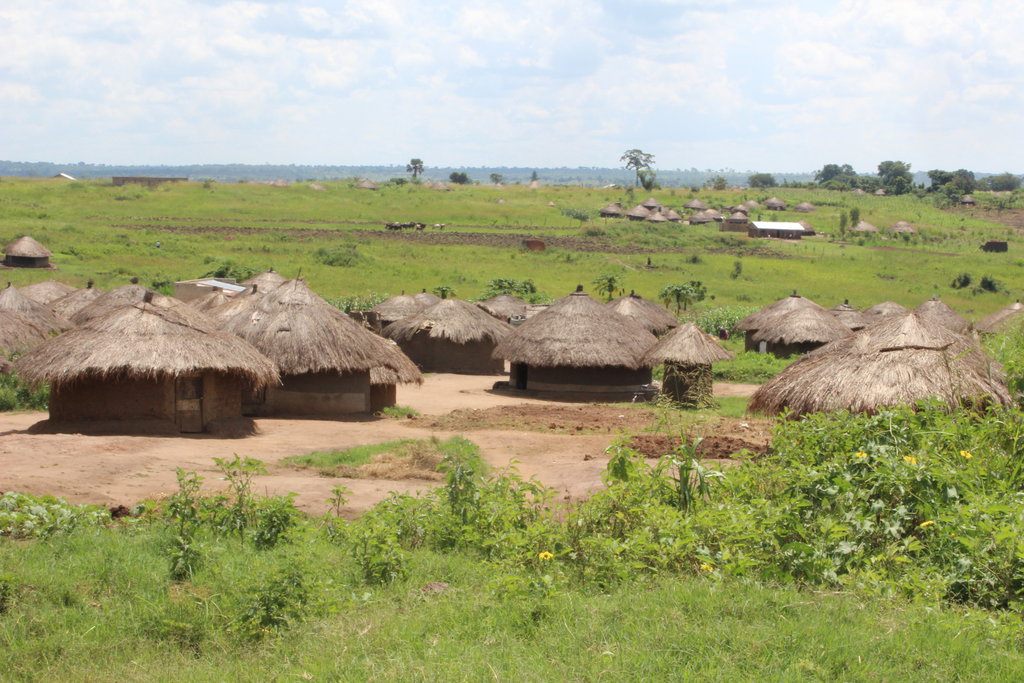Sexual Health Outreach to 1000 youth in Uganda