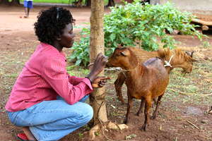 Goat Beneficiaries