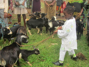 Bernard, 5, struggling with his feisty goat