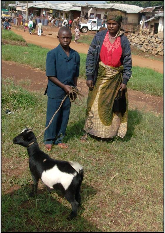 Send 20 Orphans to School-Donate Goats in Cameroon