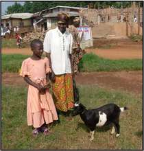 Goat Delivery