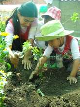 we take care of nature