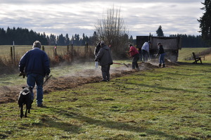 Spreading Bark at Lucky dog park
