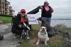 Part of the DOGPAW Pack at the 3 Mile Turnaround
