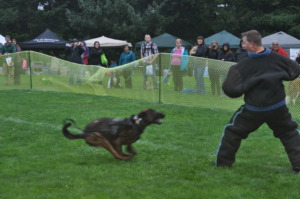 K9 Officer