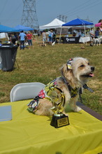 K9 Pageant Winner