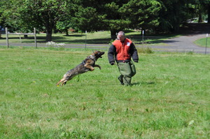 K9 Demonstration