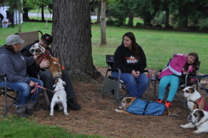 Bulldog Haven NW Rescues