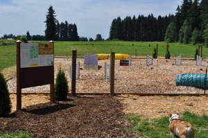 Agility Course at Brush Prairie (Lucky) Dog Park