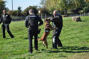 Washougal Chief of Police in K9 Demo