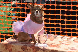 First Place Pageant Winner