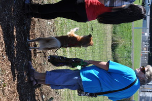 Fascinated with K9 Officer Demo