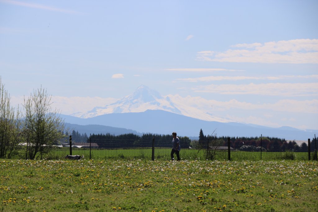 Clark County Washington Dog Parks Clark County Washington Dog Parks