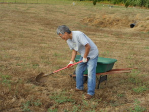 Wes filling holes