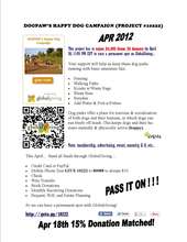 Campaign Flyer
