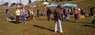DOGPAW's Happy Dog Campaign