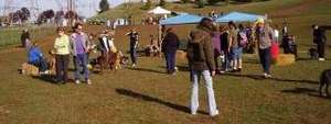 Dogtoberfest