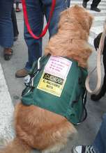 Our allies come in all shapes and sizes.