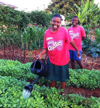 Watering the Gardens