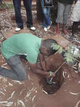 Tree Planting,honouring donors