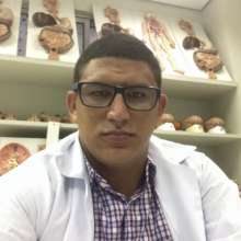 Neto