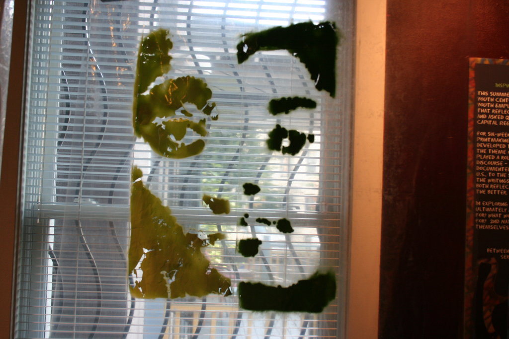 Send 10 Youth to Summer Arts Camp in Washington DC