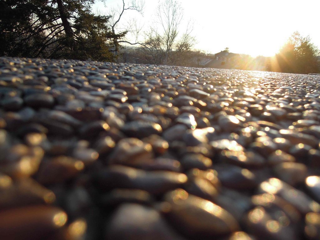 Send 10 Youth to Summer Arts Camp in Washington DC