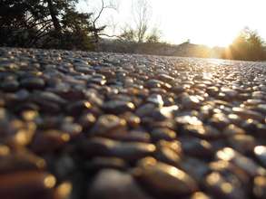 Photography by Ebony, Past Participant