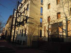 Photography by Roxana, Past Participant