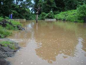 Jhambulpada Check Dam in its 2nd Year