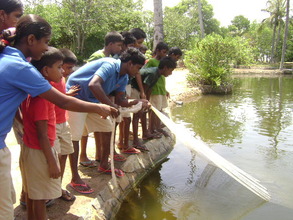 Students use the nets for harvesting