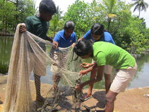 Untangling the fish