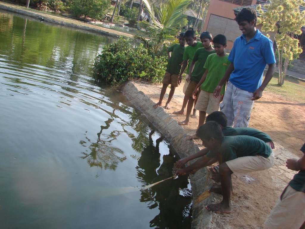 Empower Sri Lankan Youth at Vocational Fish Farm