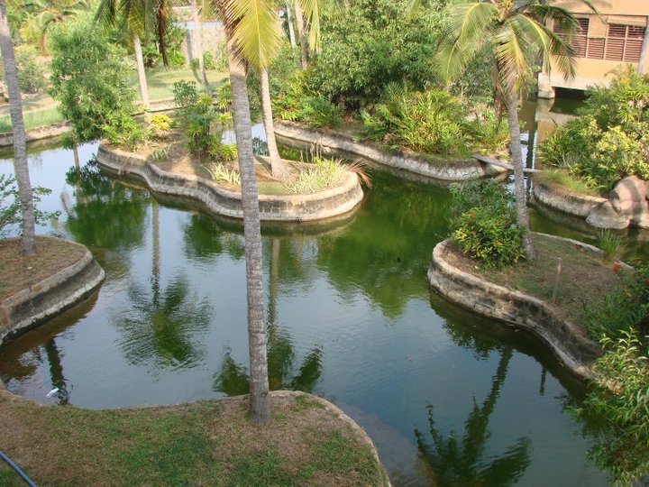 Empower Sri Lankan Youth at Vocational Fish Farm