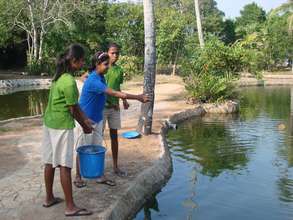 Kalapuwa Sri Sustainable Fish Farm