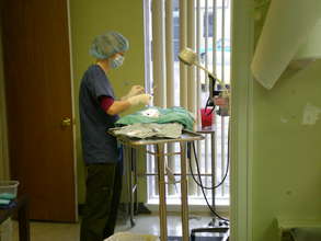Surgery