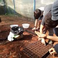 Gardening Workshop