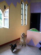 Pancho in the upper area admiring our paint job!