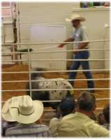 Auction