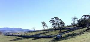 Devil retirement village at Bonorong