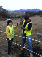 Getting the all-important fence in place