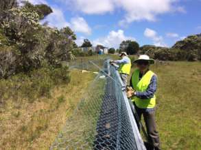 Volunteers dismantling devil releasing yards