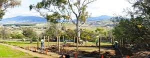 Tasmanian Devil Retirement Village Construction