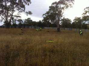 The planting begins!