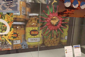 Kid-created collage at the Airport