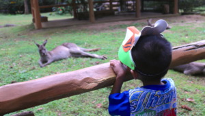 Teguh on his 1st & last trip to the zoo