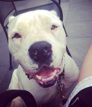 Beauregard